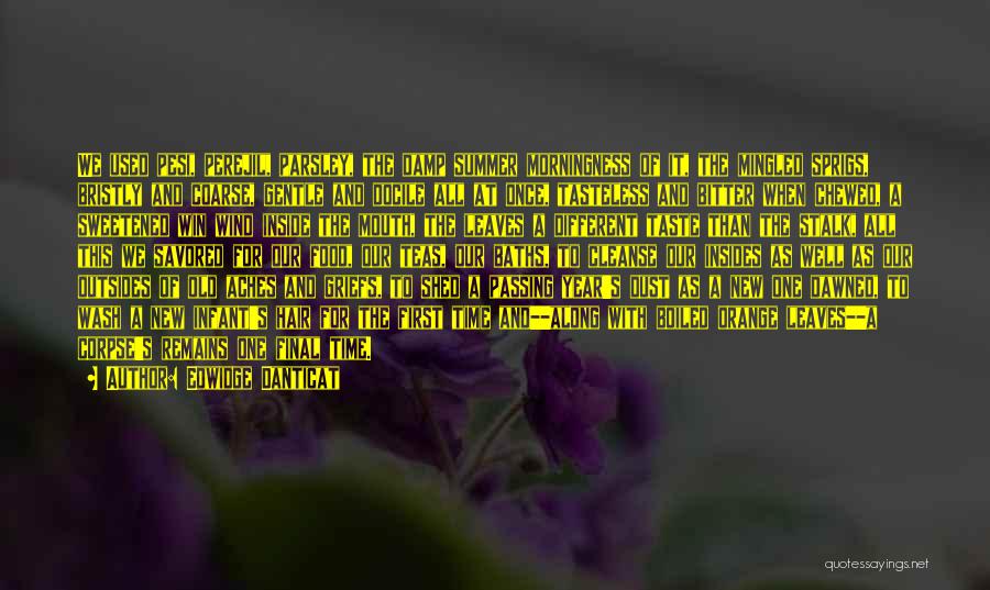 Edwidge Danticat Quotes: We Used Pesi, Perejil, Parsley, The Damp Summer Morningness Of It, The Mingled Sprigs, Bristly And Coarse, Gentle And Docile