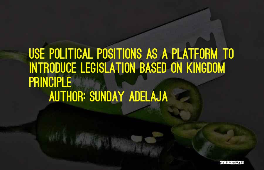 Sunday Adelaja Quotes: Use Political Positions As A Platform To Introduce Legislation Based On Kingdom Principle