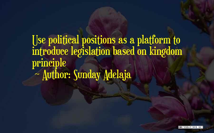 Sunday Adelaja Quotes: Use Political Positions As A Platform To Introduce Legislation Based On Kingdom Principle