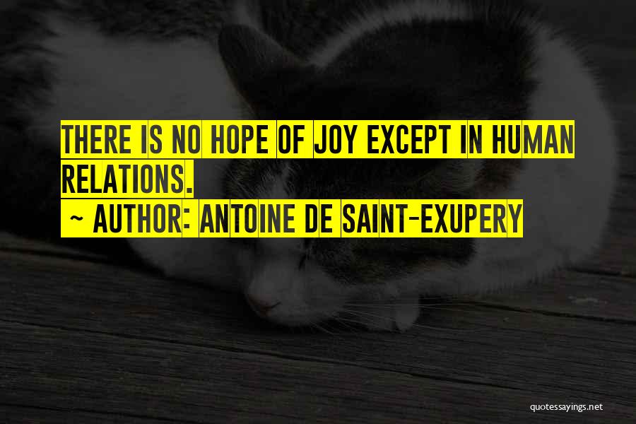 Antoine De Saint-Exupery Quotes: There Is No Hope Of Joy Except In Human Relations.