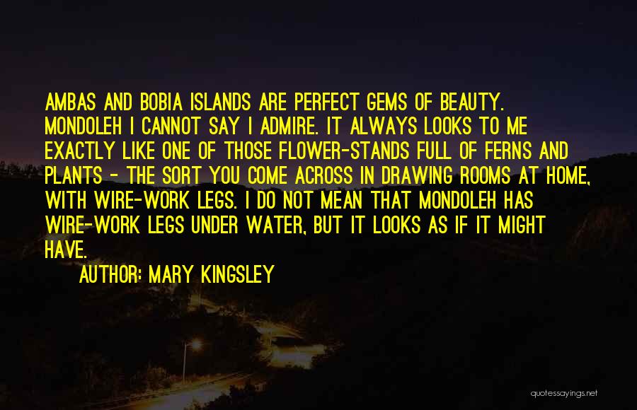 Mary Kingsley Quotes: Ambas And Bobia Islands Are Perfect Gems Of Beauty. Mondoleh I Cannot Say I Admire. It Always Looks To Me
