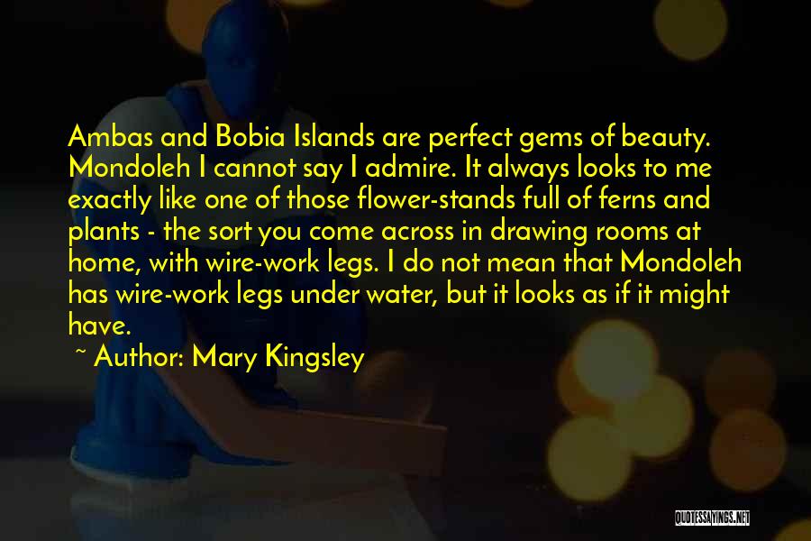 Mary Kingsley Quotes: Ambas And Bobia Islands Are Perfect Gems Of Beauty. Mondoleh I Cannot Say I Admire. It Always Looks To Me