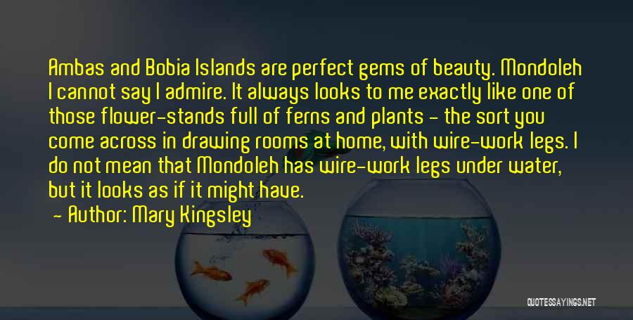 Mary Kingsley Quotes: Ambas And Bobia Islands Are Perfect Gems Of Beauty. Mondoleh I Cannot Say I Admire. It Always Looks To Me