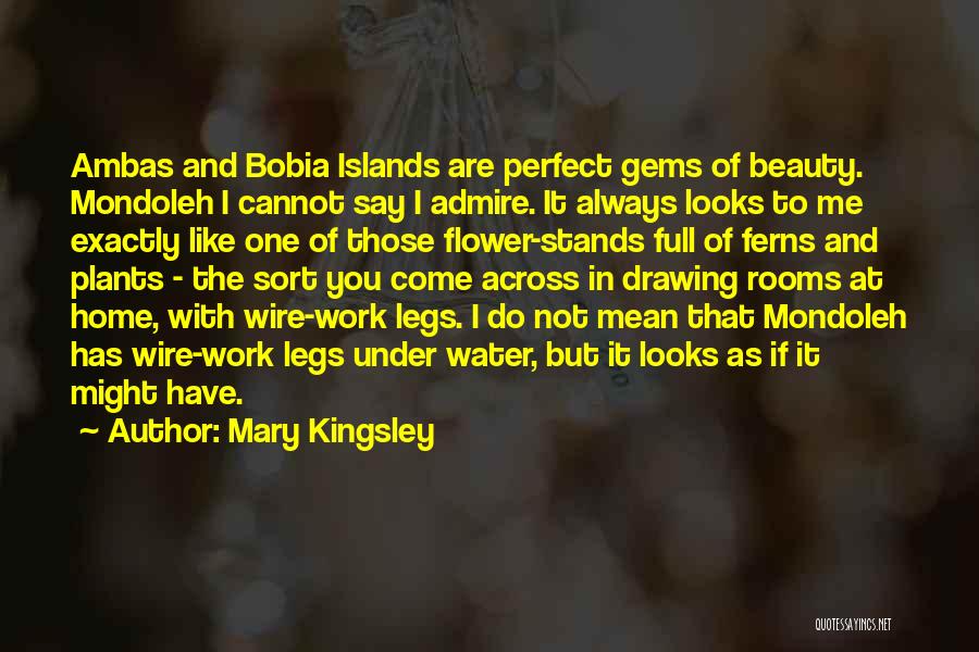 Mary Kingsley Quotes: Ambas And Bobia Islands Are Perfect Gems Of Beauty. Mondoleh I Cannot Say I Admire. It Always Looks To Me