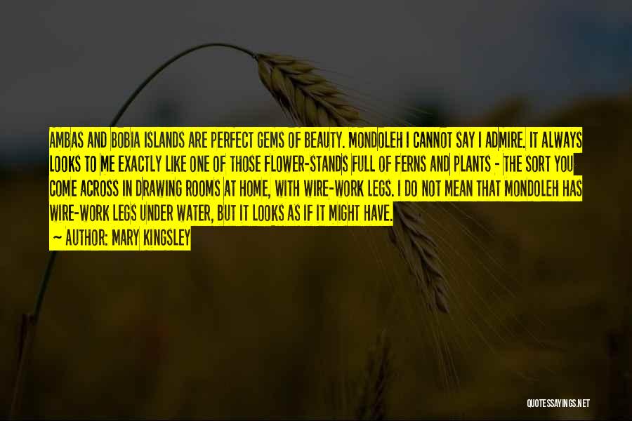 Mary Kingsley Quotes: Ambas And Bobia Islands Are Perfect Gems Of Beauty. Mondoleh I Cannot Say I Admire. It Always Looks To Me