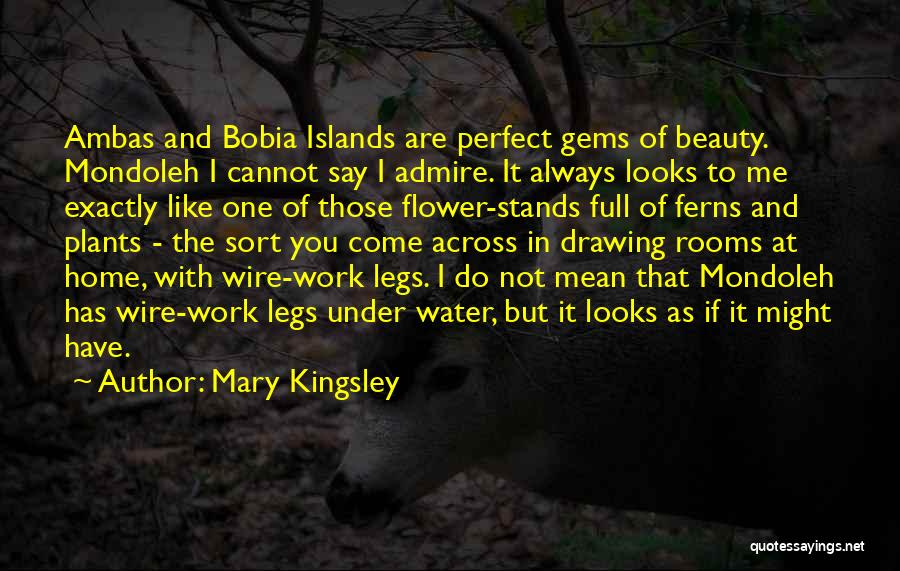 Mary Kingsley Quotes: Ambas And Bobia Islands Are Perfect Gems Of Beauty. Mondoleh I Cannot Say I Admire. It Always Looks To Me