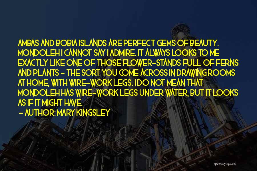 Mary Kingsley Quotes: Ambas And Bobia Islands Are Perfect Gems Of Beauty. Mondoleh I Cannot Say I Admire. It Always Looks To Me