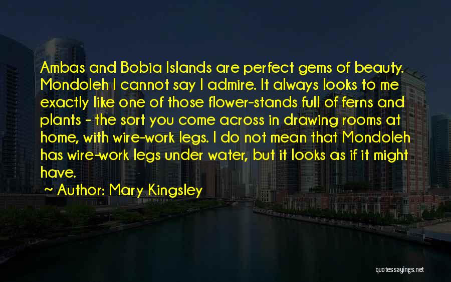 Mary Kingsley Quotes: Ambas And Bobia Islands Are Perfect Gems Of Beauty. Mondoleh I Cannot Say I Admire. It Always Looks To Me