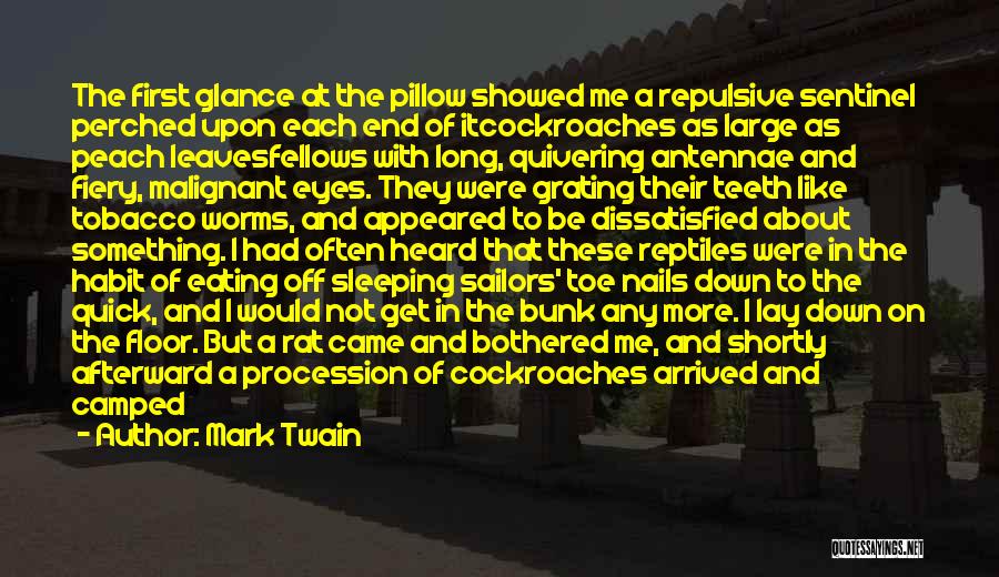 Mark Twain Quotes: The First Glance At The Pillow Showed Me A Repulsive Sentinel Perched Upon Each End Of Itcockroaches As Large As