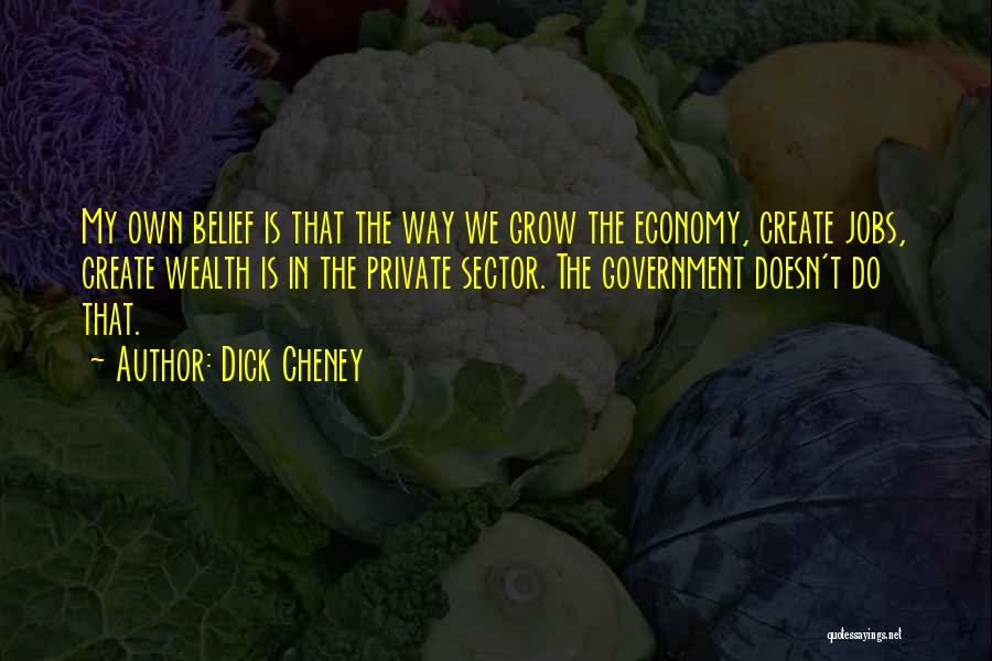 Dick Cheney Quotes: My Own Belief Is That The Way We Grow The Economy, Create Jobs, Create Wealth Is In The Private Sector.