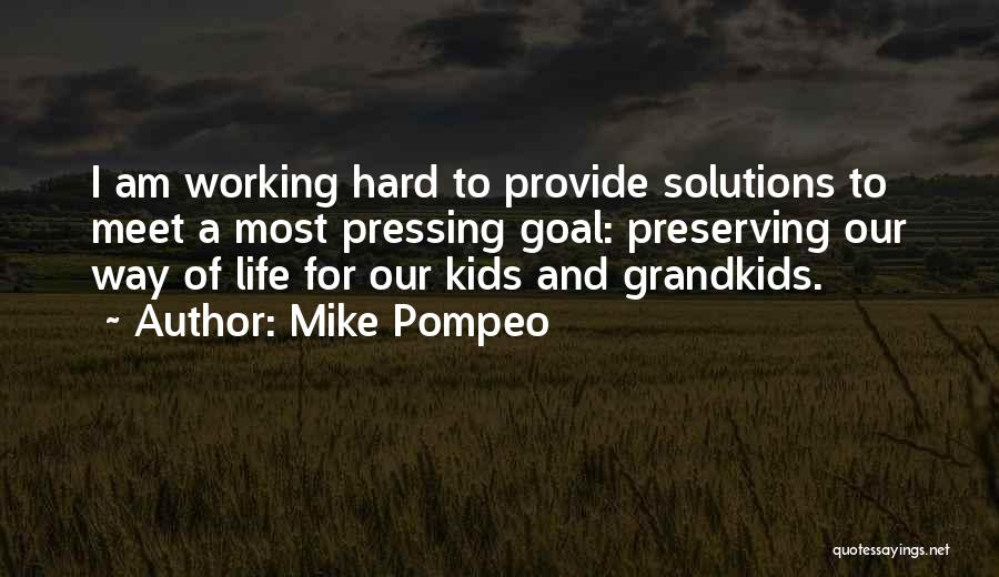 Mike Pompeo Quotes: I Am Working Hard To Provide Solutions To Meet A Most Pressing Goal: Preserving Our Way Of Life For Our