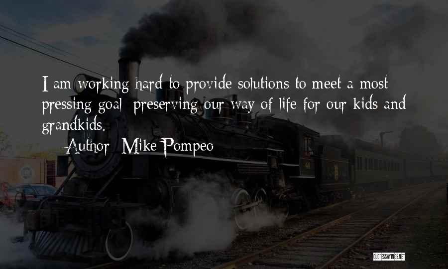 Mike Pompeo Quotes: I Am Working Hard To Provide Solutions To Meet A Most Pressing Goal: Preserving Our Way Of Life For Our