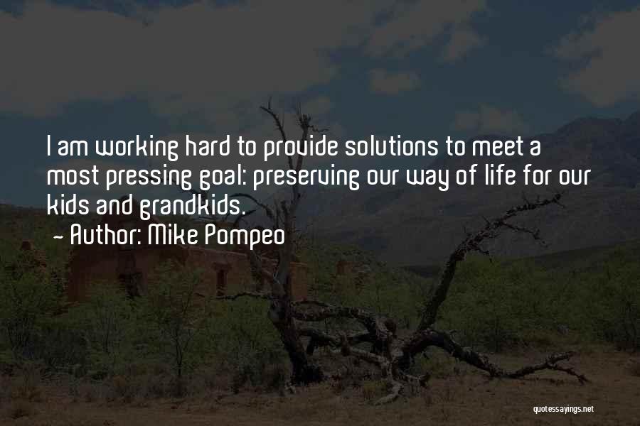 Mike Pompeo Quotes: I Am Working Hard To Provide Solutions To Meet A Most Pressing Goal: Preserving Our Way Of Life For Our