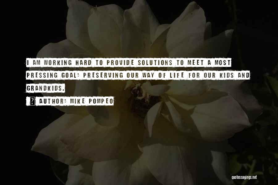 Mike Pompeo Quotes: I Am Working Hard To Provide Solutions To Meet A Most Pressing Goal: Preserving Our Way Of Life For Our