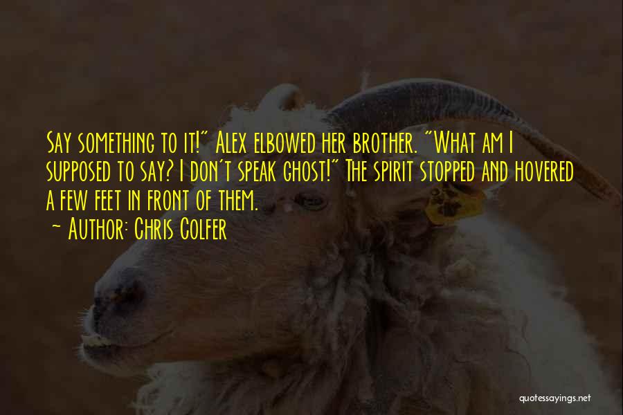 Chris Colfer Quotes: Say Something To It! Alex Elbowed Her Brother. What Am I Supposed To Say? I Don't Speak Ghost! The Spirit