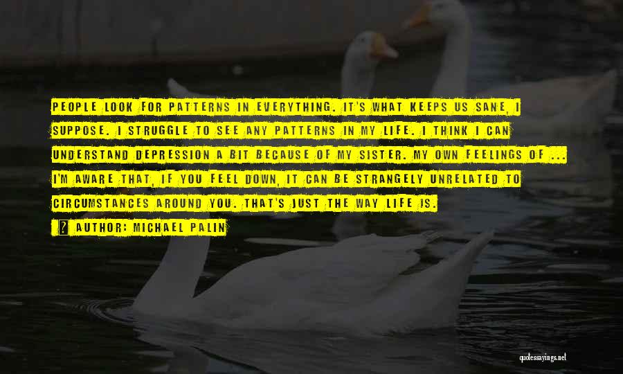 Michael Palin Quotes: People Look For Patterns In Everything. It's What Keeps Us Sane, I Suppose. I Struggle To See Any Patterns In