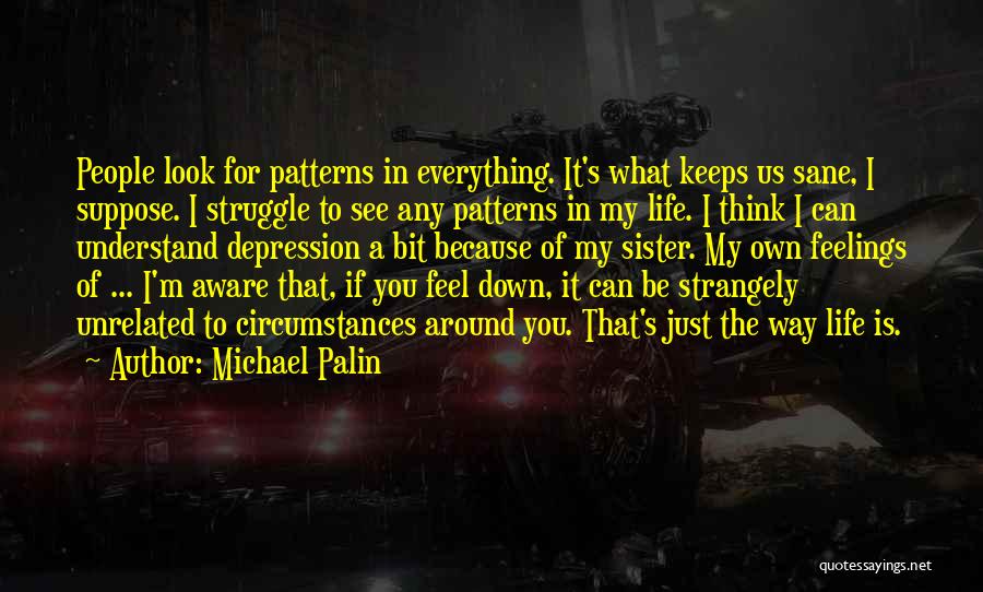 Michael Palin Quotes: People Look For Patterns In Everything. It's What Keeps Us Sane, I Suppose. I Struggle To See Any Patterns In