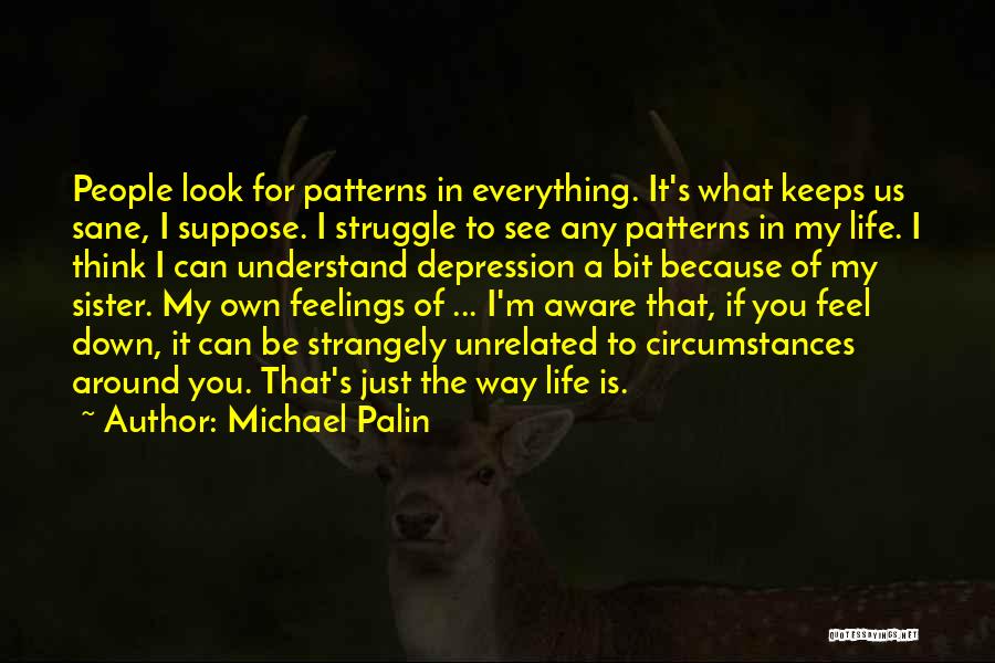 Michael Palin Quotes: People Look For Patterns In Everything. It's What Keeps Us Sane, I Suppose. I Struggle To See Any Patterns In