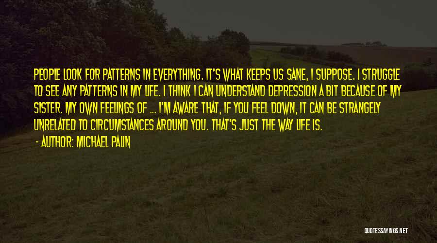 Michael Palin Quotes: People Look For Patterns In Everything. It's What Keeps Us Sane, I Suppose. I Struggle To See Any Patterns In