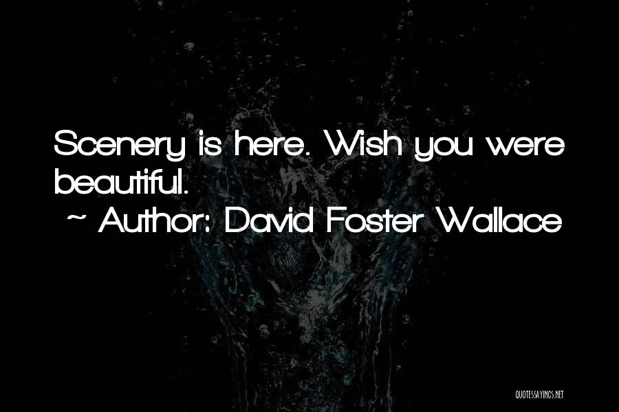 David Foster Wallace Quotes: Scenery Is Here. Wish You Were Beautiful.