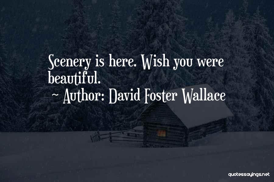 David Foster Wallace Quotes: Scenery Is Here. Wish You Were Beautiful.
