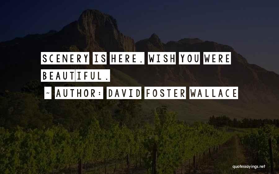 David Foster Wallace Quotes: Scenery Is Here. Wish You Were Beautiful.