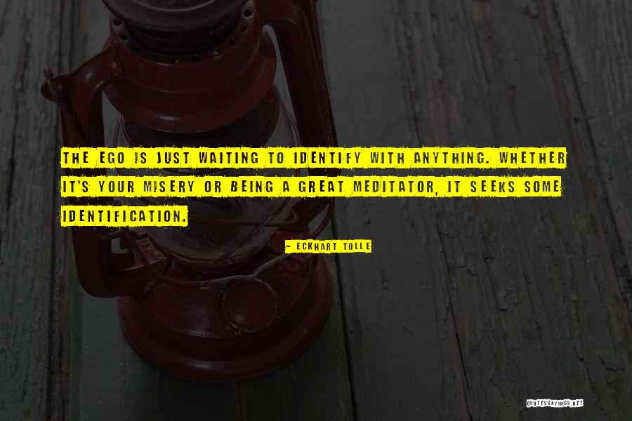 16x20x4 Quotes By Eckhart Tolle 16x20x4 Quotes By Eckhart Tolle