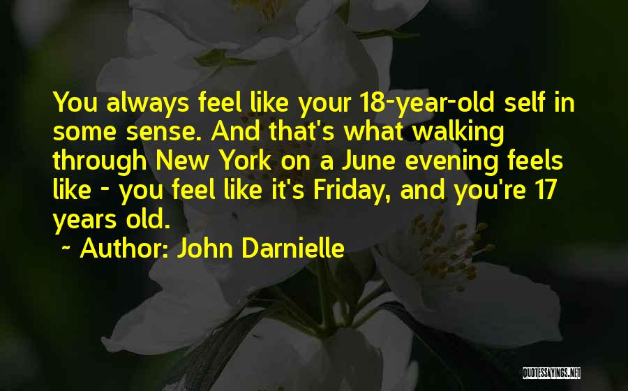 17 Years Old Quotes By John Darnielle