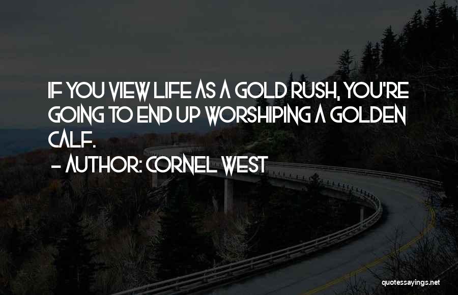 Cornel West Quotes: If You View Life As A Gold Rush, You're Going To End Up Worshiping A Golden Calf.