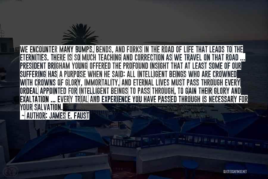 James E. Faust Quotes: We Encounter Many Bumps, Bends, And Forks In The Road Of Life That Leads To The Eternities. There Is So