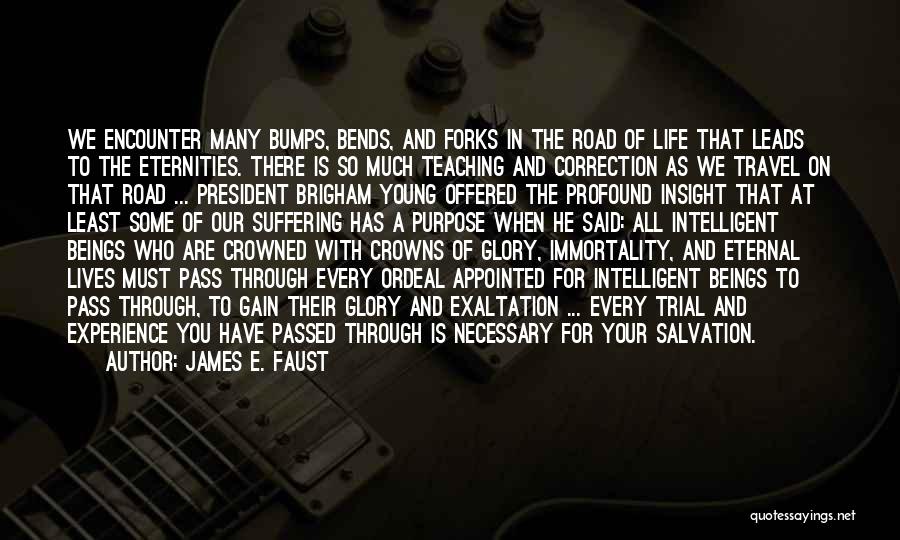 James E. Faust Quotes: We Encounter Many Bumps, Bends, And Forks In The Road Of Life That Leads To The Eternities. There Is So