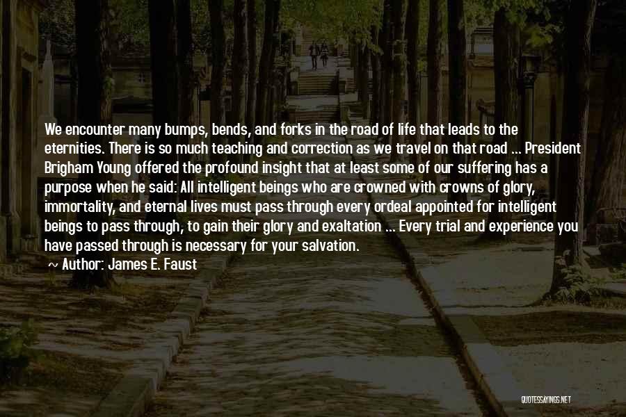 James E. Faust Quotes: We Encounter Many Bumps, Bends, And Forks In The Road Of Life That Leads To The Eternities. There Is So