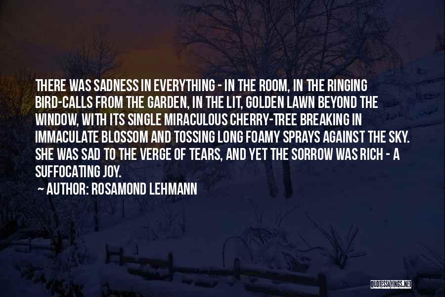 Rosamond Lehmann Quotes: There Was Sadness In Everything - In The Room, In The Ringing Bird-calls From The Garden, In The Lit, Golden