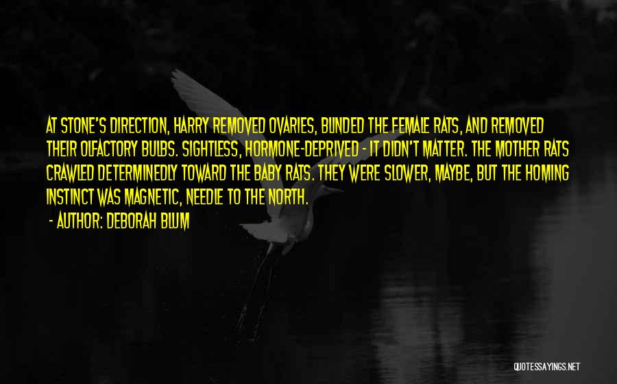 Deborah Blum Quotes: At Stone's Direction, Harry Removed Ovaries, Blinded The Female Rats, And Removed Their Olfactory Bulbs. Sightless, Hormone-deprived - It Didn't