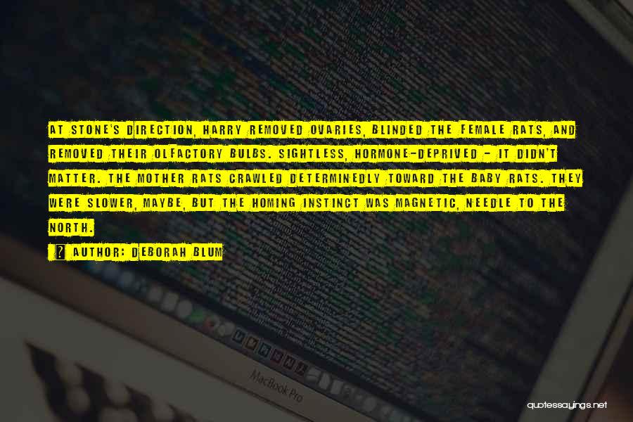 Deborah Blum Quotes: At Stone's Direction, Harry Removed Ovaries, Blinded The Female Rats, And Removed Their Olfactory Bulbs. Sightless, Hormone-deprived - It Didn't