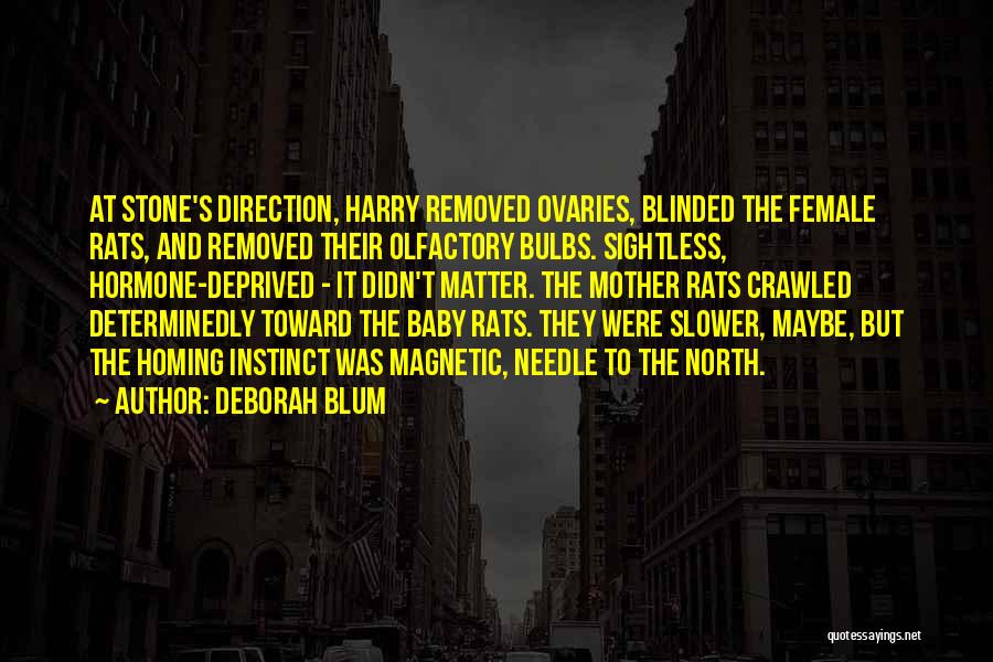 Deborah Blum Quotes: At Stone's Direction, Harry Removed Ovaries, Blinded The Female Rats, And Removed Their Olfactory Bulbs. Sightless, Hormone-deprived - It Didn't