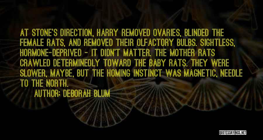 Deborah Blum Quotes: At Stone's Direction, Harry Removed Ovaries, Blinded The Female Rats, And Removed Their Olfactory Bulbs. Sightless, Hormone-deprived - It Didn't