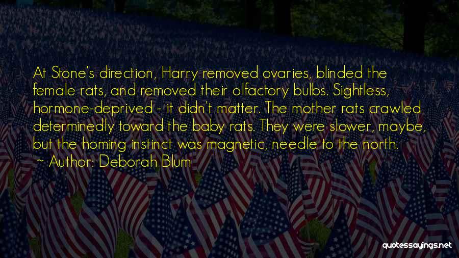 Deborah Blum Quotes: At Stone's Direction, Harry Removed Ovaries, Blinded The Female Rats, And Removed Their Olfactory Bulbs. Sightless, Hormone-deprived - It Didn't