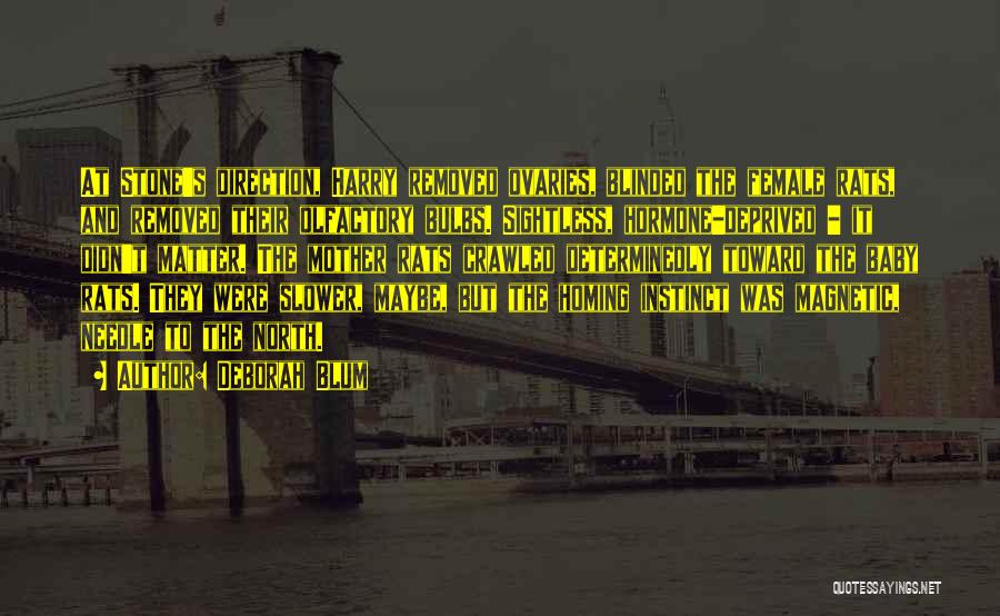 Deborah Blum Quotes: At Stone's Direction, Harry Removed Ovaries, Blinded The Female Rats, And Removed Their Olfactory Bulbs. Sightless, Hormone-deprived - It Didn't