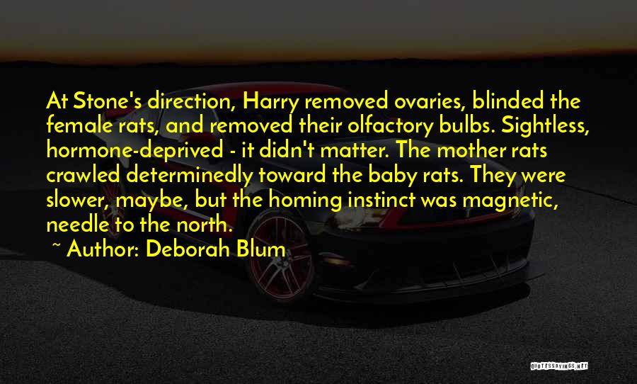 Deborah Blum Quotes: At Stone's Direction, Harry Removed Ovaries, Blinded The Female Rats, And Removed Their Olfactory Bulbs. Sightless, Hormone-deprived - It Didn't