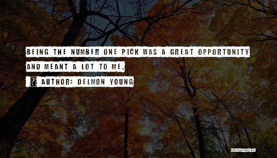 Delmon Young Quotes: Being The Number One Pick Was A Great Opportunity And Meant A Lot To Me.