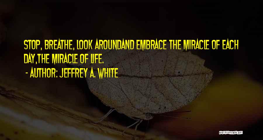 Jeffrey A. White Quotes: Stop, Breathe, Look Aroundand Embrace The Miracle Of Each Day,the Miracle Of Life.