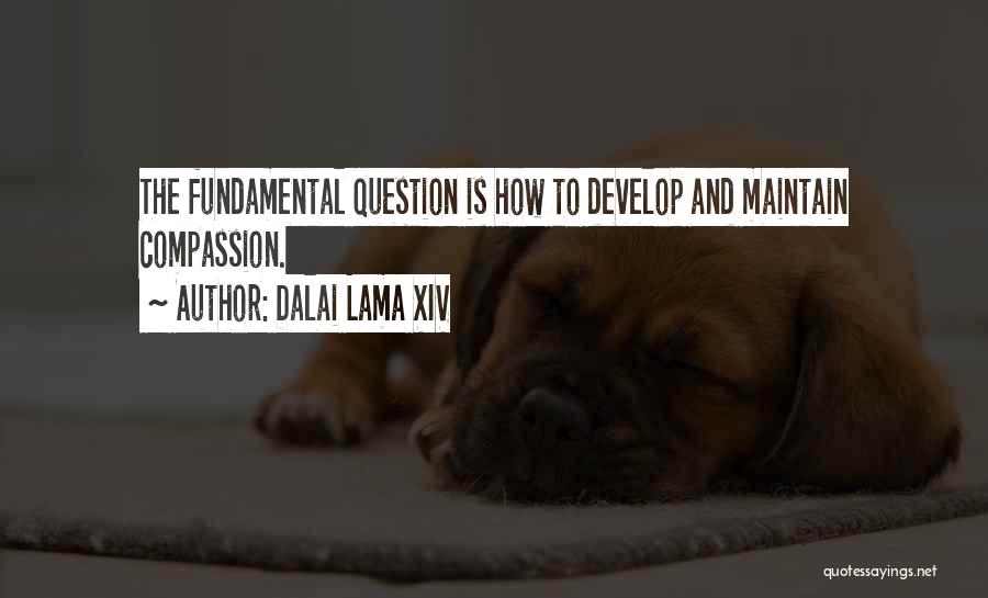 Dalai Lama XIV Quotes: The Fundamental Question Is How To Develop And Maintain Compassion.