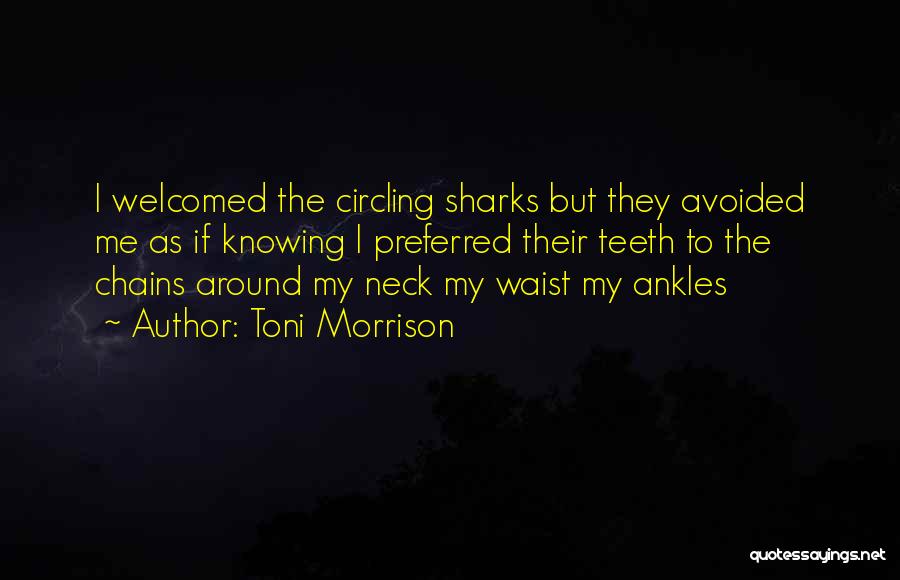 Toni Morrison Quotes: I Welcomed The Circling Sharks But They Avoided Me As If Knowing I Preferred Their Teeth To The Chains Around