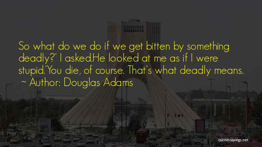 Douglas Adams Quotes: So What Do We Do If We Get Bitten By Something Deadly?' I Asked.he Looked At Me As If I