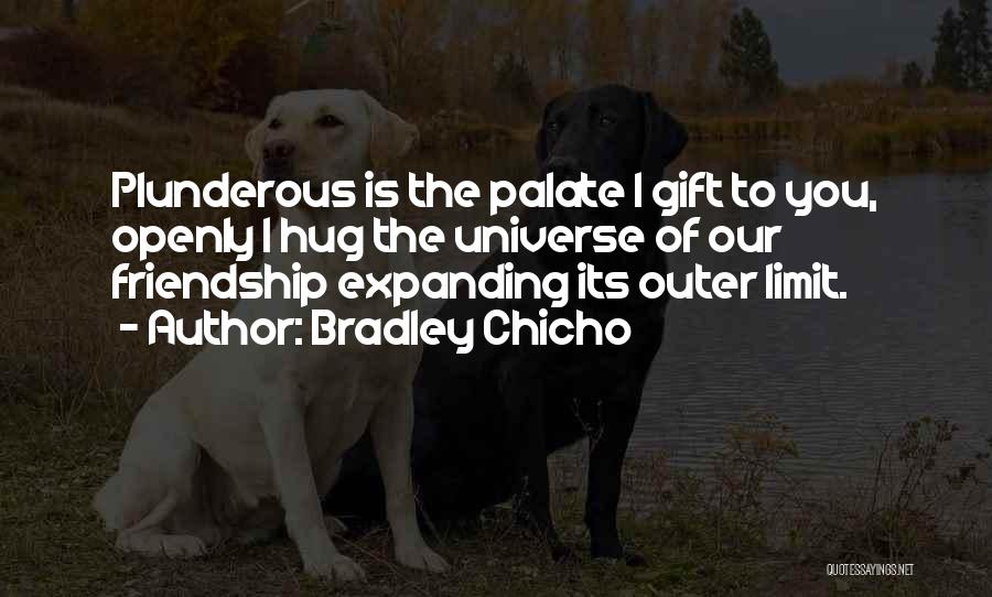 Bradley Chicho Quotes: Plunderous Is The Palate I Gift To You, Openly I Hug The Universe Of Our Friendship Expanding Its Outer Limit.