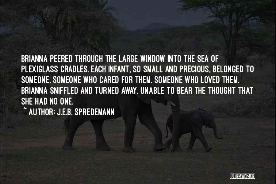 J.E.B. Spredemann Quotes: Brianna Peered Through The Large Window Into The Sea Of Plexiglass Cradles. Each Infant, So Small And Precious, Belonged To