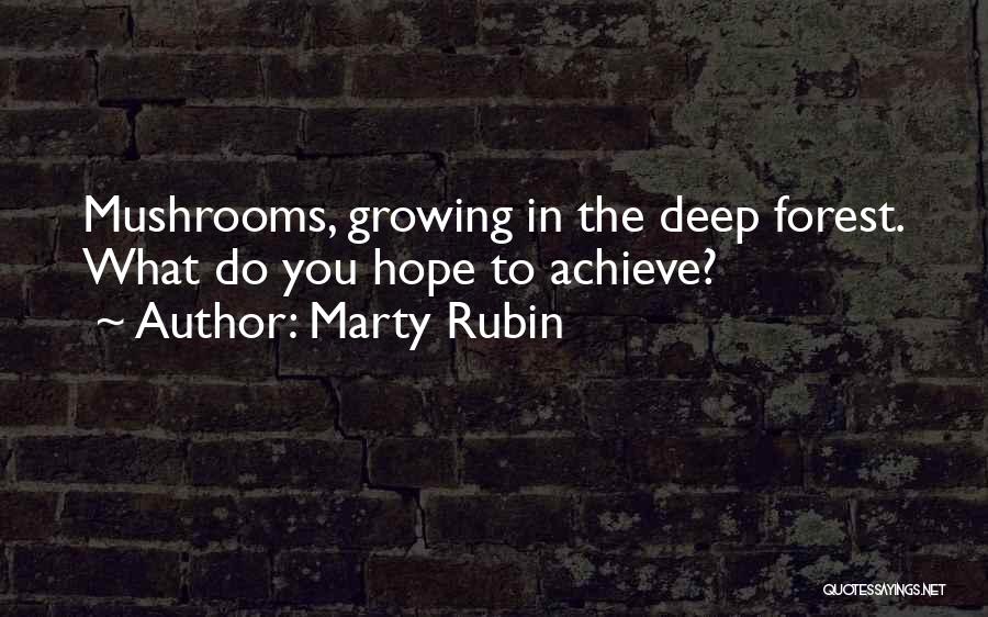 17038 Quotes By Marty Rubin