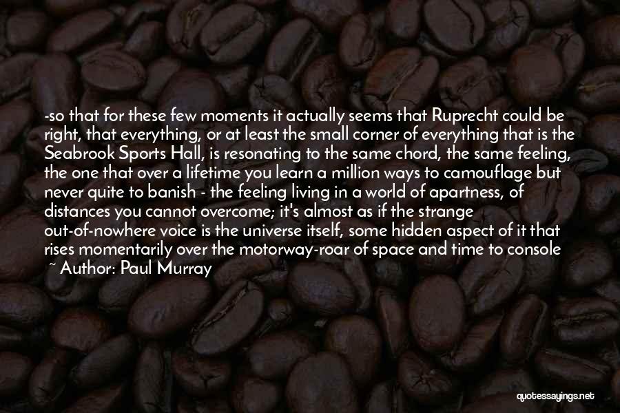 Paul Murray Quotes: -so That For These Few Moments It Actually Seems That Ruprecht Could Be Right, That Everything, Or At Least The