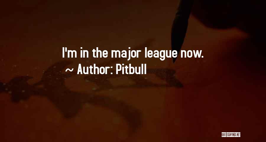 Pitbull Quotes: I'm In The Major League Now.